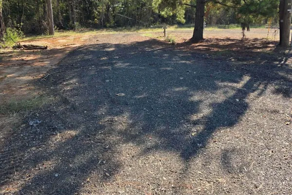 The Pines – photo 1