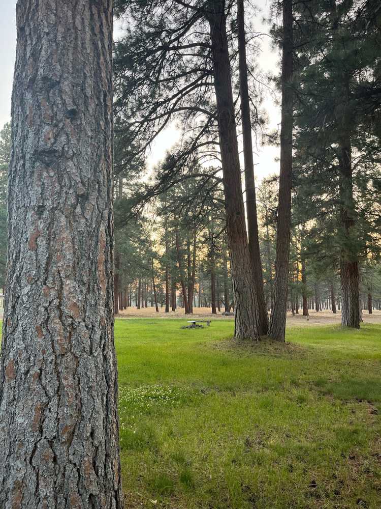Park Image 7