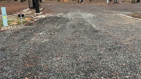 Pull-Through 20/30/50 Amp Full Hookup RV Site — image 2 of 2
