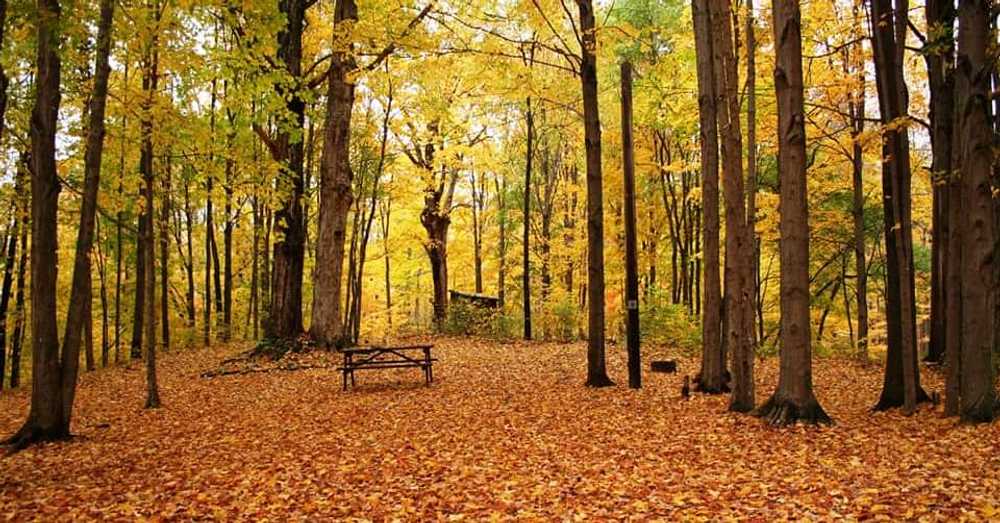 Pope Haven Campground Randolph, New York Campspot