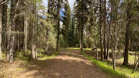 Primitive RV Site — image 5 of 5