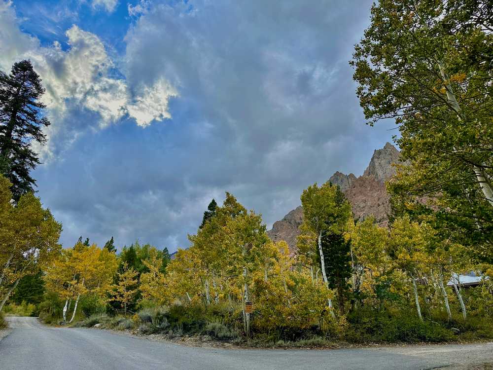 Lundy Lake Resort - Photo 4