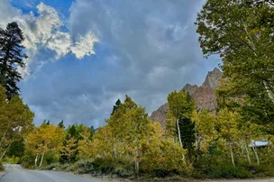 Lundy Lake Resort – photo 4