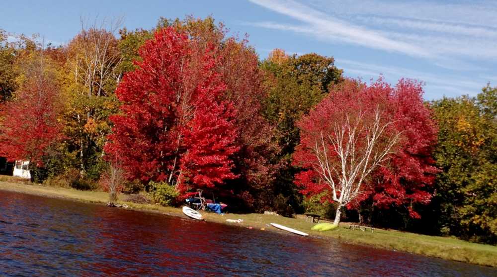 Mascoma Lake Campground - Photo 5