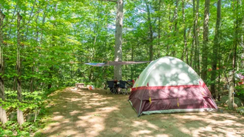 Primitive Tent Site - 2 People — image 1 of 1