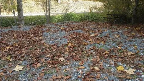 Standard Creekfront 30/50 Amp Water/Sewer  RV or Tent Site — image 2 of 34