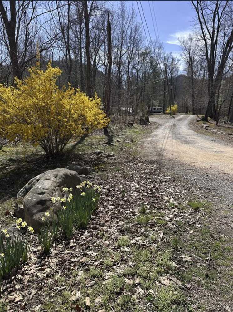 Pebble Mountain Campground  - Chuckey, TN - Photo 3