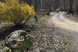 Pebble Mountain Campground – photo 3