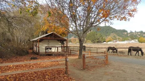 Canvas  Tent — image 2 of 6