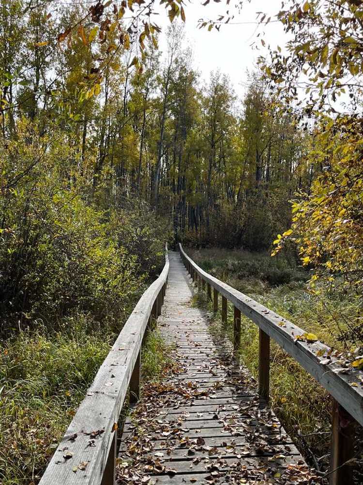 Spruce Point Park Campground/Marina, Kinuso, Alberta - Photo 4