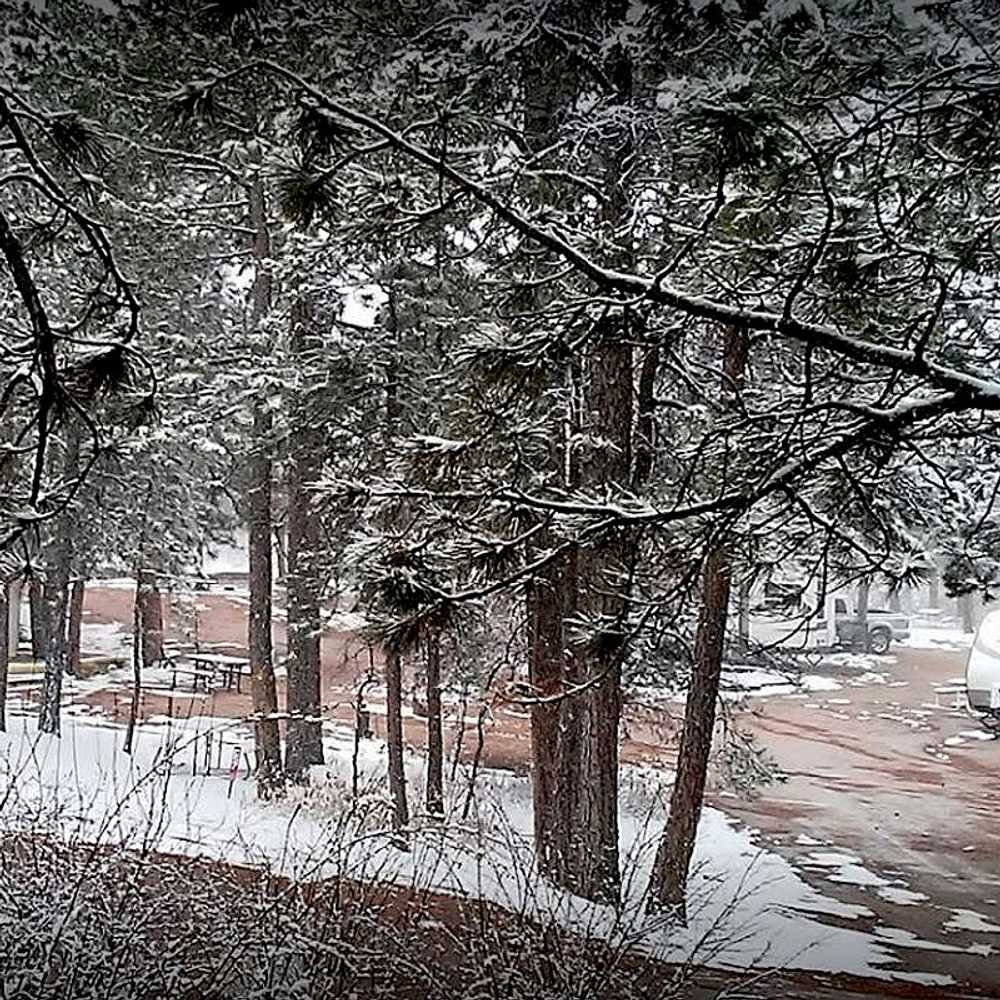 Colorado Heights Camping Resort, Monument, Colorado - Photo 5