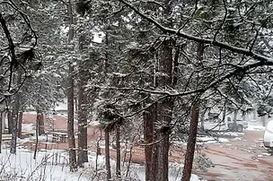Colorado Heights Camping Resort – photo 5