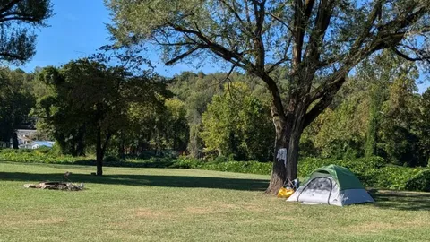 Primitive Tent Site — image 1 of 4