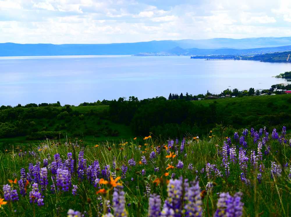 Bear Lake Venture Park - Photo 2