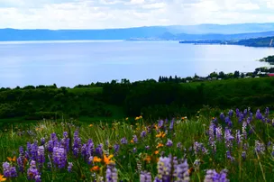 Bear Lake Venture Park – photo 2
