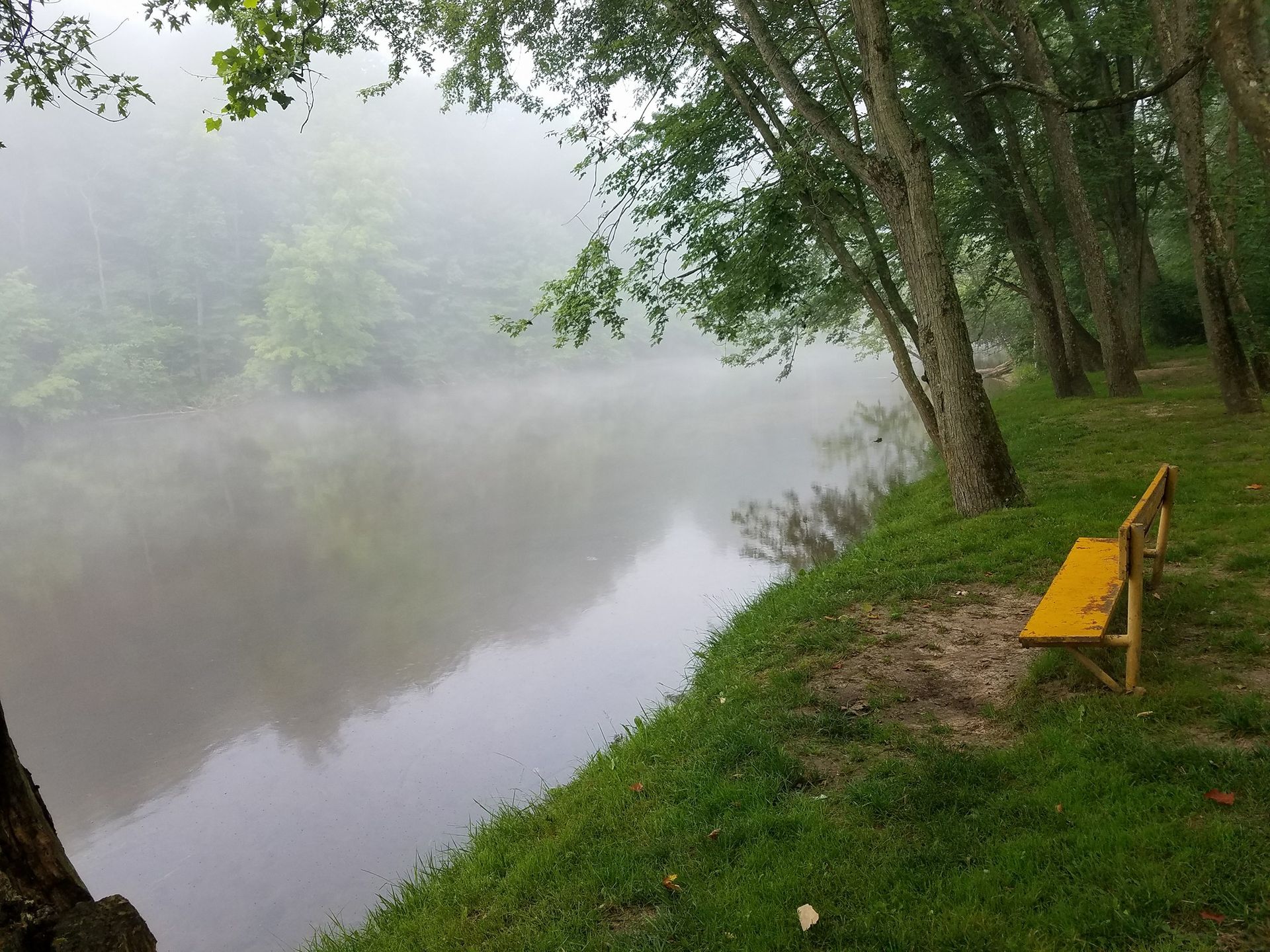 Mystery Creek Campground, Newaygo, Michigan