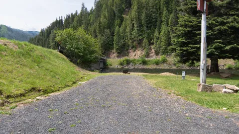 River Front RV Site (Dry Only 10/15-4/1) — image 7 of 7