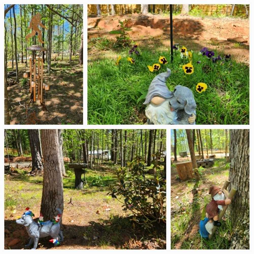 Camp Tails and Trails - Westminster , SC - Photo 5