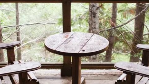 Tree House Cabin 2 — image 6 of 6