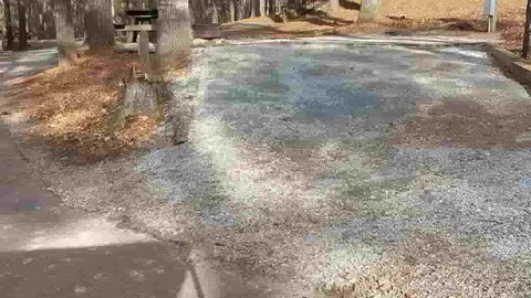 30 AMP Broad River Interior Campsite — image 5 of 5