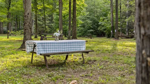 Shady Tent Site — image 1 of 1