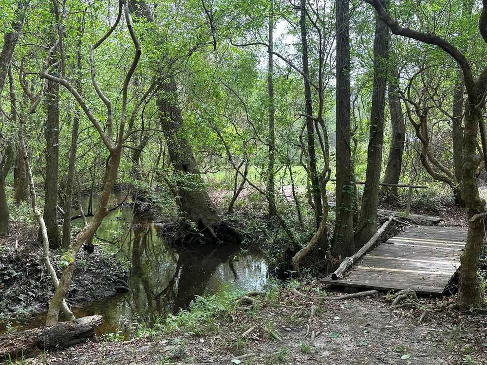 Park Image 7