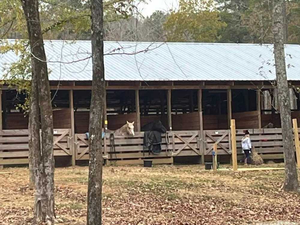 Camp McClellan Horse Trails Campground - Photo 4