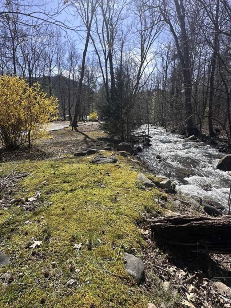 Pebble Mountain Campground  - Chuckey, TN - Photo 2