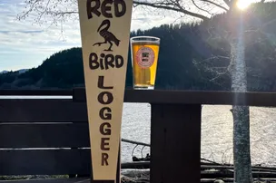 Scarlet Ibis Pub – photo 5