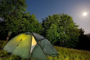 CAMP at Maple Haven – photo 3