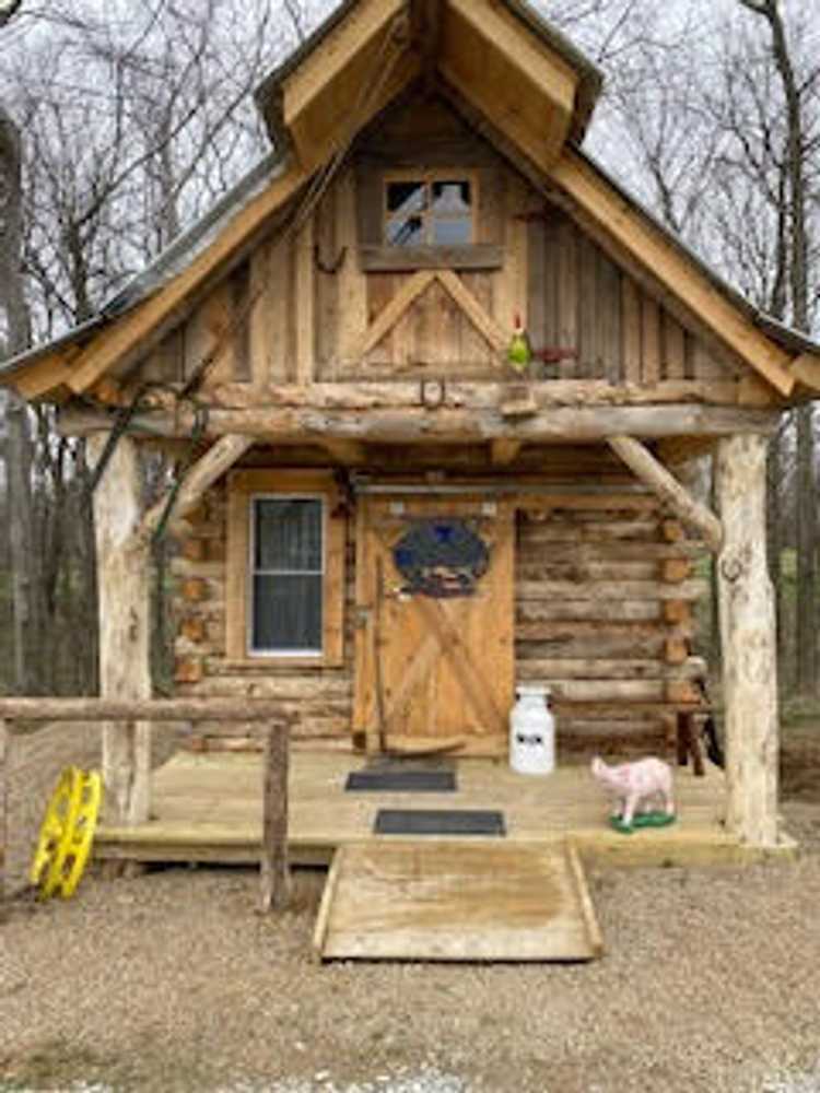 Cabin 11