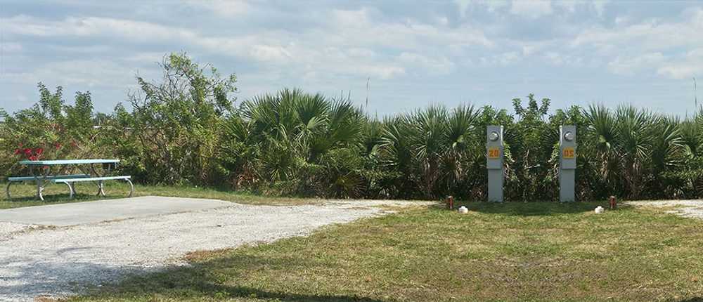 Myakka River RV Resort - Photo 3