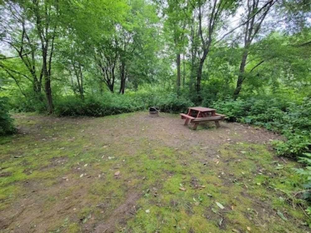Tent Site