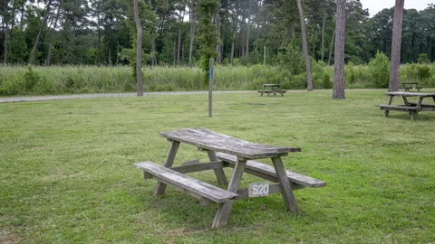 Tent Sites — image 5 of 5