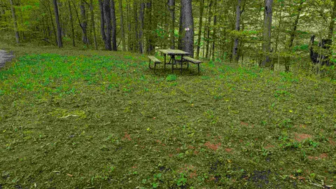Rustic Tent Site/Dry Camping — image 1 of 3