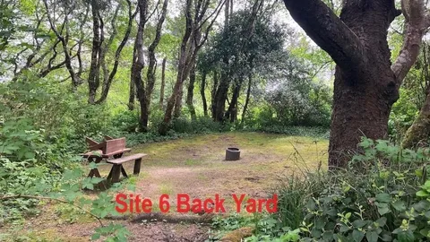 30 Amp RV Site with Water (6 People Max) — image 15 of 15