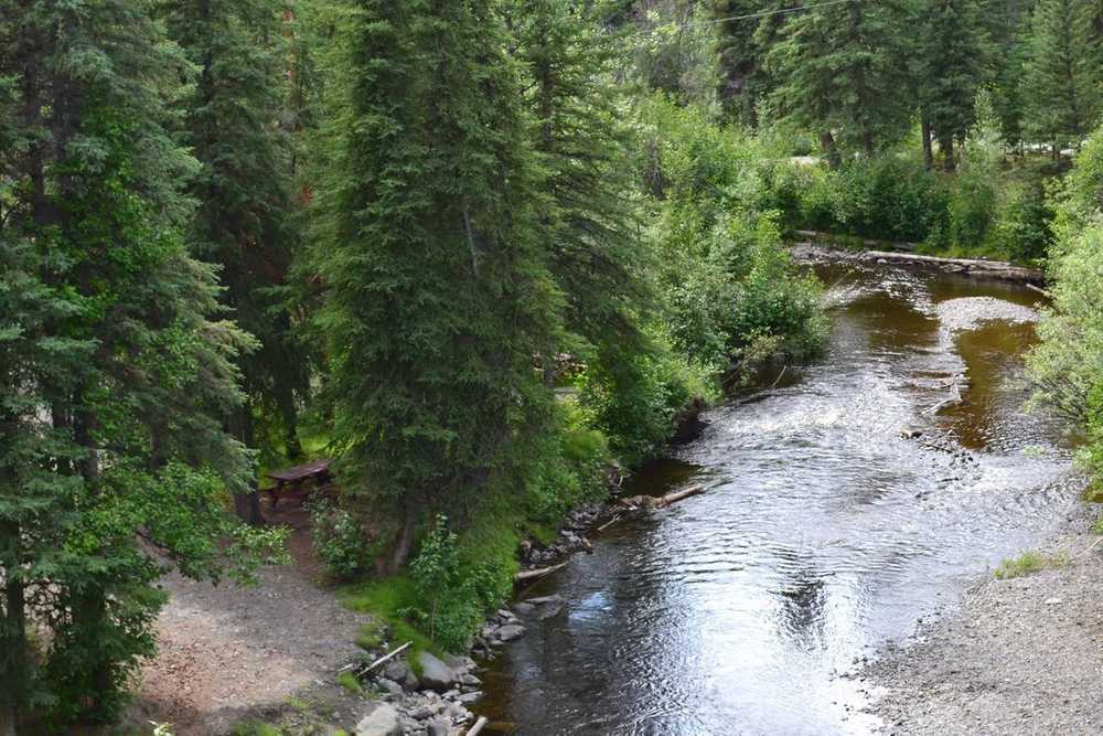 Tolsona Wilderness Campground - Photo 5