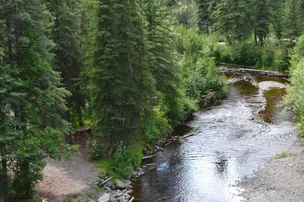 Tolsona Wilderness Campground – photo 5