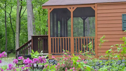 Comfort Cottage — image 2 of 12