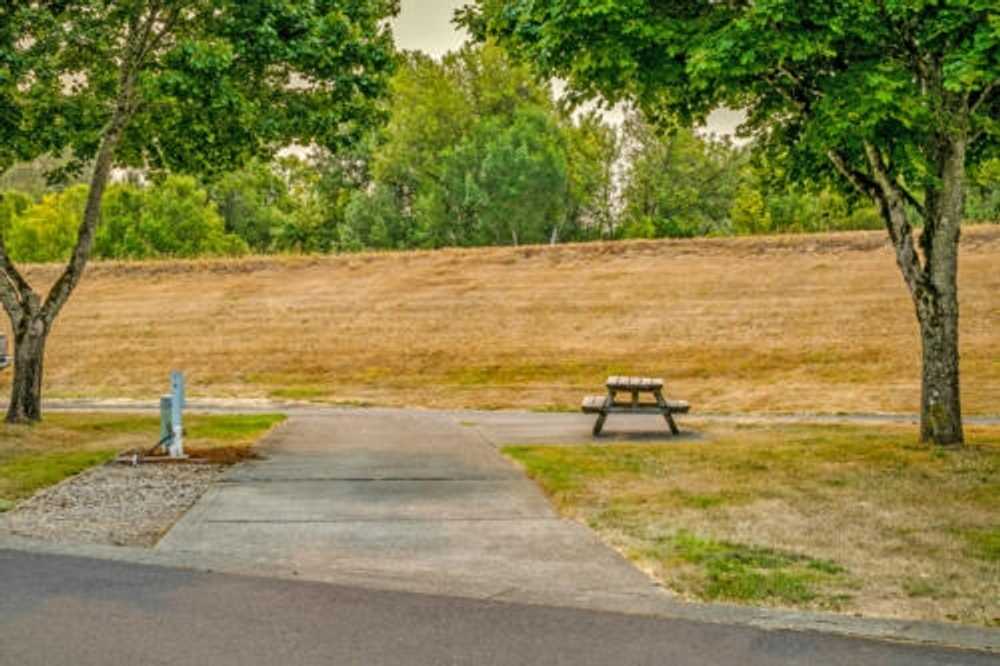 Brookhollow RV Park - Photo 4