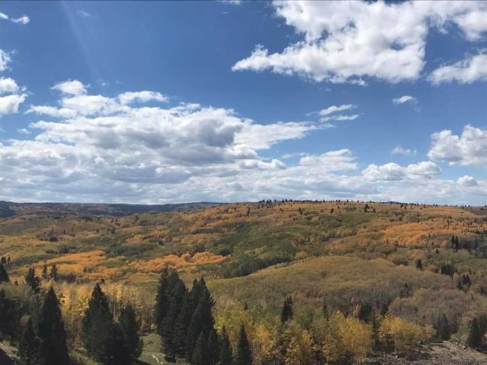 Conejos River Campground