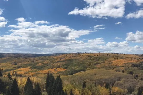 Conejos River Campground – photo 1