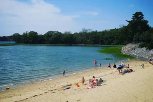 Thomas Point Beach Campground – photo 4