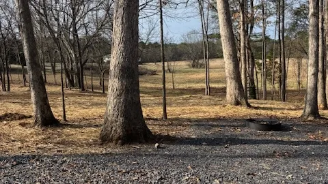 Standard Full Hookup RV Site (Back-in) — image 2 of 12