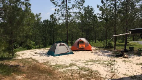 Ranger Smith™ Tent Site — image 2 of 4