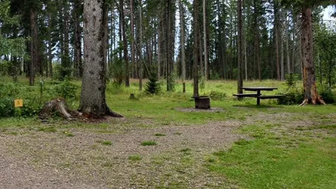 Treed Site(Non-Power) — image 13 of 13
