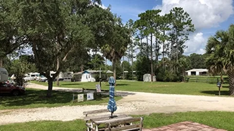 50 Amp Pull Through RV Site — image 2 of 3