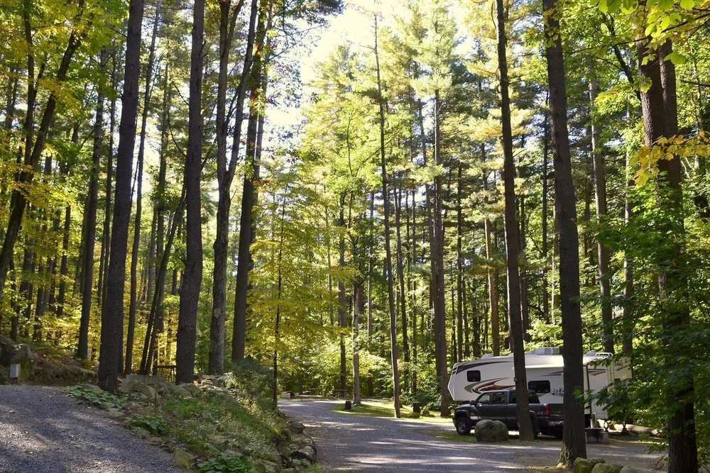 Park Image 6