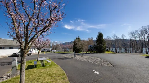 Premium Pull-Through RV Site — image 2 of 6