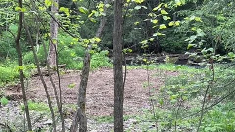 RV site wooded area — image 2 of 3